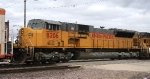 UP 8206